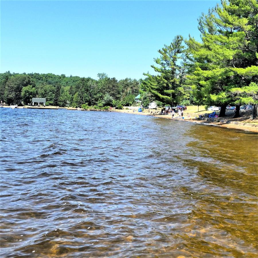 Logging Chain Lodge Cottage Resort Dwight Esterno foto